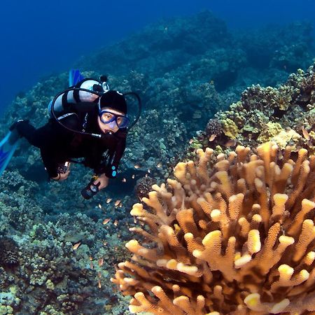 Willa Wailea Ekolu 1604 Kihei Zewnętrze zdjęcie
